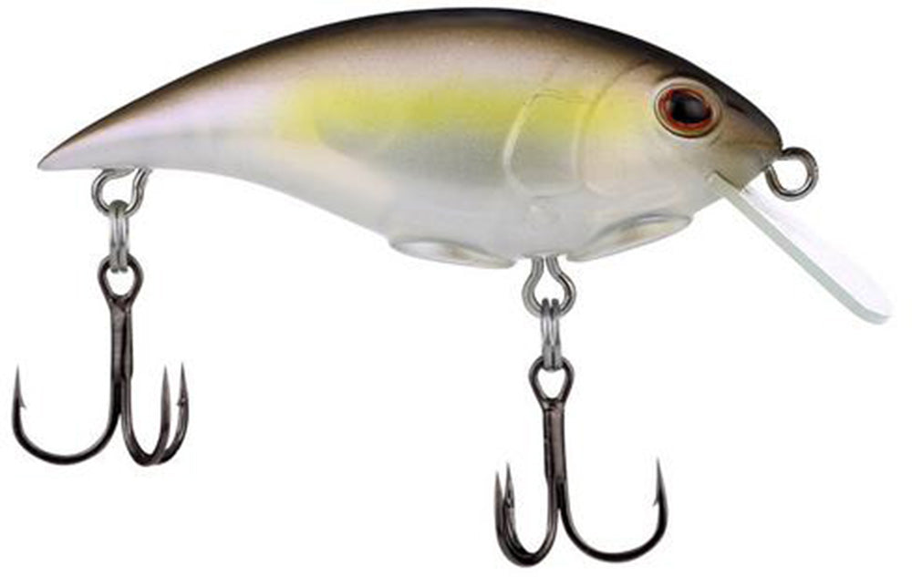 Berkley Shallow Money Badger