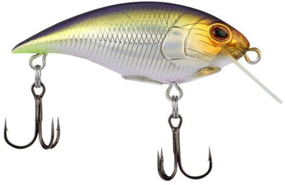 Berkley Shallow Money Badger Crankbait - 2.5 Inch