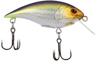 Berkley Shallow Money Badger Crankbait - 2.5 Inch