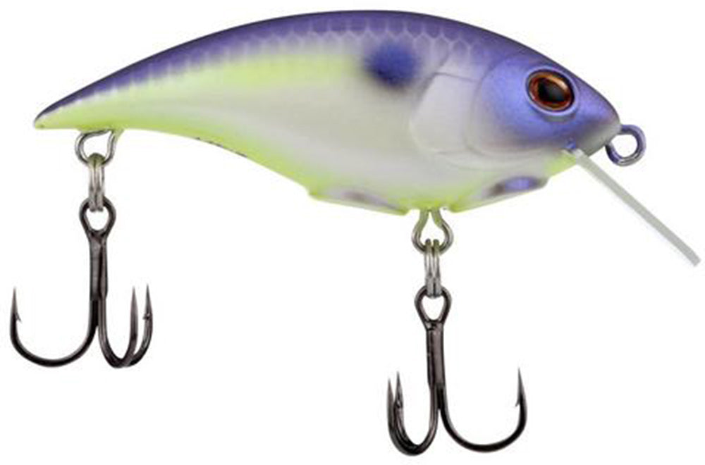 Berkley Shallow Money Badger Crankbait - 2.6 Inch