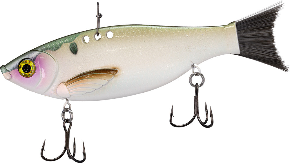 Bill Lewis Big Gizz - 6 Inch