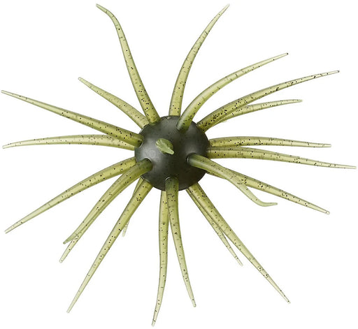 #102 Watermelon Seed