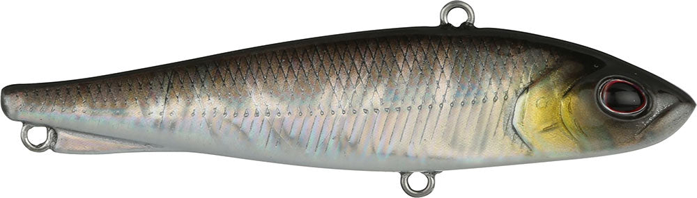Ripfish Ghost Shiner / 7