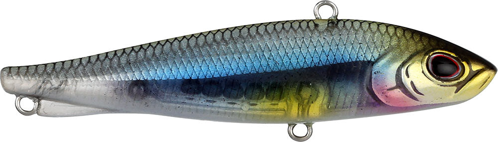 Ripfish Minnowsota / 7