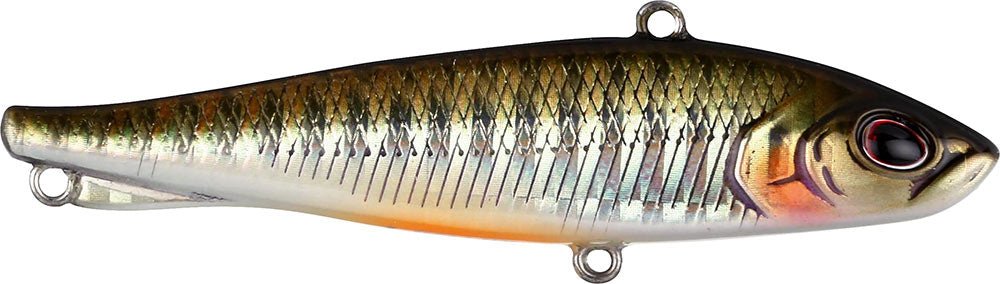 berkley fish lipper Ripfish, Chrome / 9