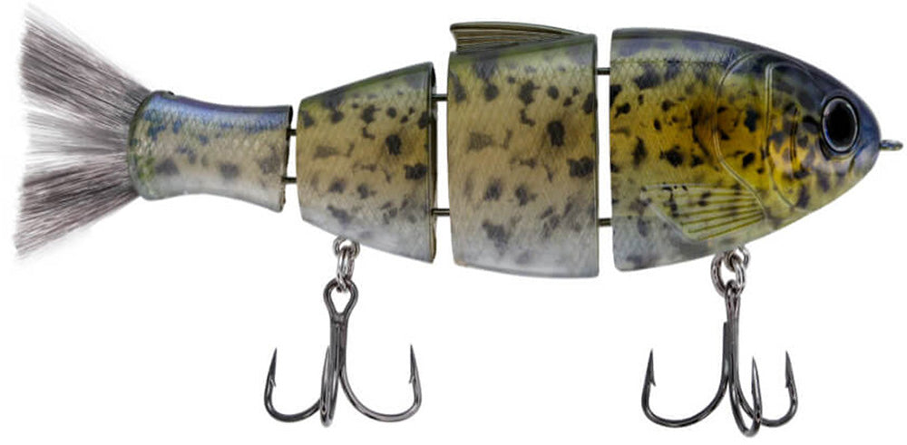 bull shad fishing lure Bucca Brand 5" Bull Shad Green Gizzard