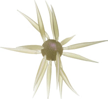 Hideup Coike Fish Large Elastomer