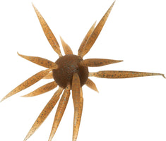 Hideup Coike Fish Large Elastomer