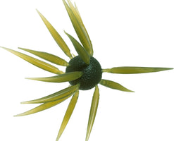 Hideup Coike Fish Large Elastomer