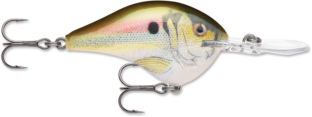 Rapala DT 12 Series Crankbait - 2.25 Inch