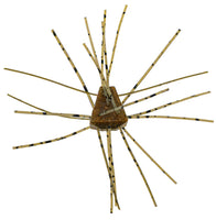 Xzone GBO 13mm - 4 Pack