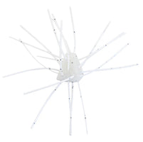 Xzone GBO 13mm - 4 Pack