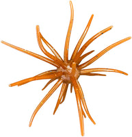 Hag's Baits Prickly Pear - 19mm