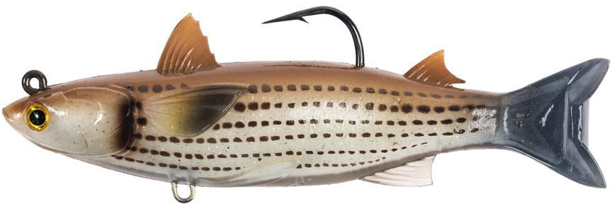 LiveTarget Mullet Bait - Rigged