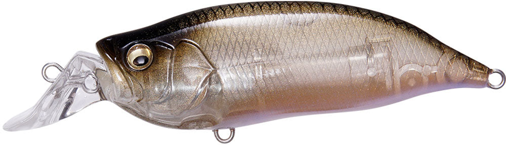 Megabass IXI Shad Type-R Shallow Diving Crankbait - 2.4 Inch
