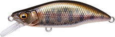 Megabass Great Hunting GH64 Humpback Fast Sinking Trout Minnow - 2.5 Inch - Takumi Yamame