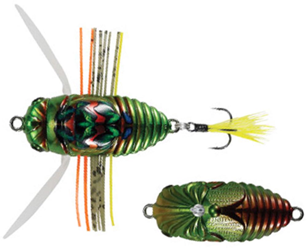 Duo Realis Shinmushi Cicada Aburazemi