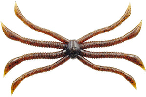 Zappu Fish Magnet Octopus Urchin - 5.5 Inch