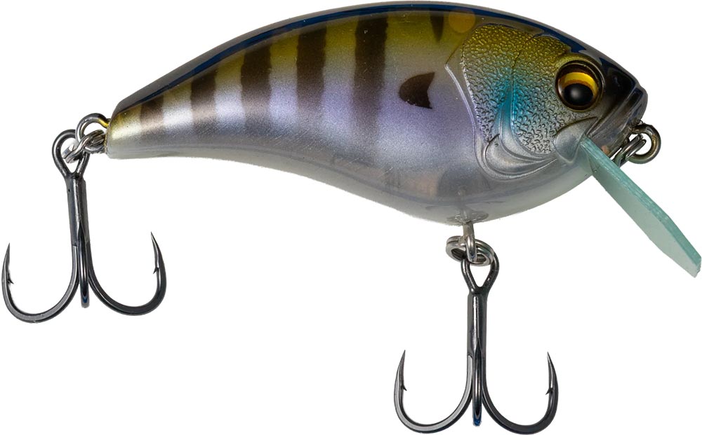 G-Ratt Shock Box Crankbait - 2.25 Inch