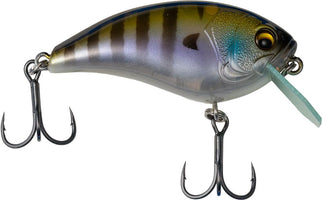 G-Ratt Shock Box Crankbait - 2.25 Inch