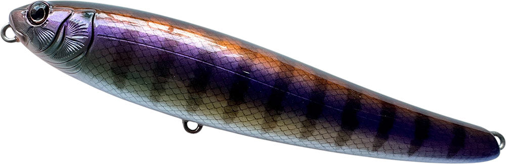 DrancKrazy Tailot Topwater Pencil - 4.75 Inch
