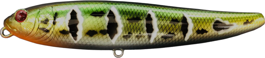 DrancKrazy Tailot Topwater Pencil - 4.75 Inch