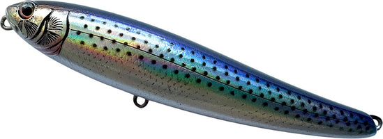 DrancKrazy Tailot Topwater Pencil - 4.75 Inch