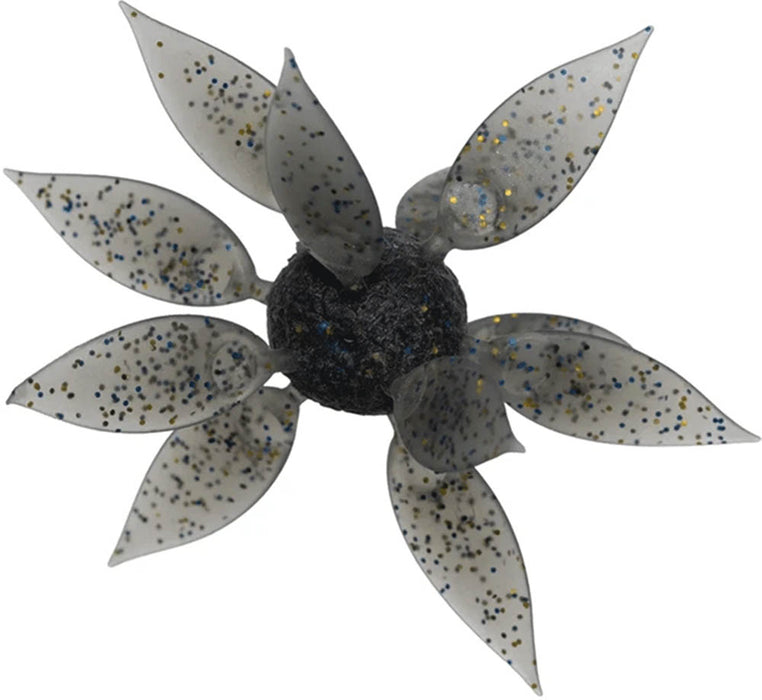 Hideup Coike Fish Gill Urchin - Medium