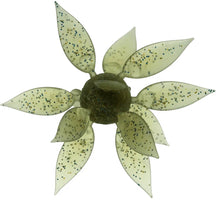 Hideup Coike Fish Gill Urchin - Medium