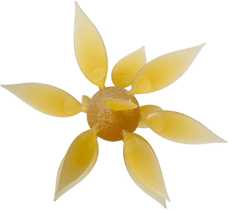 Hideup Coike Fish Gill Urchin - Medium