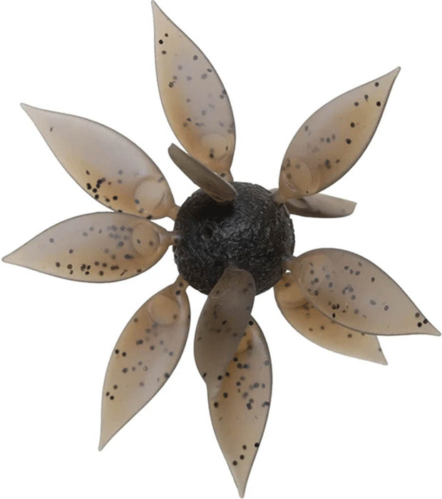 Hideup Coike Fish Gill Urchin - Medium