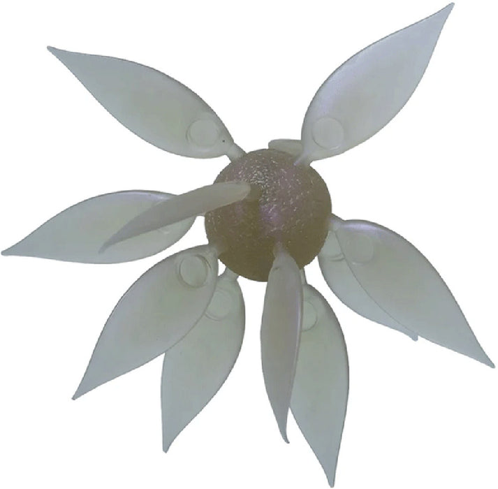 Hideup Coike Fish Gill Urchin - Large