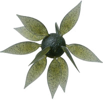 Hideup Coike Fish Gill Urchin - Large