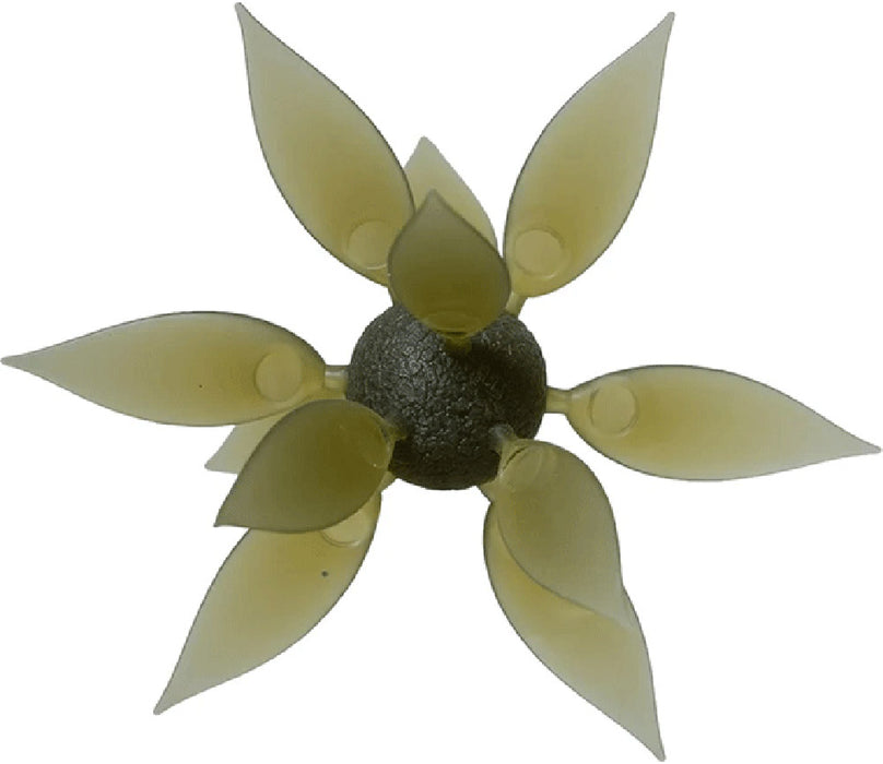 Hideup Coike Fish Gill Urchin - Large