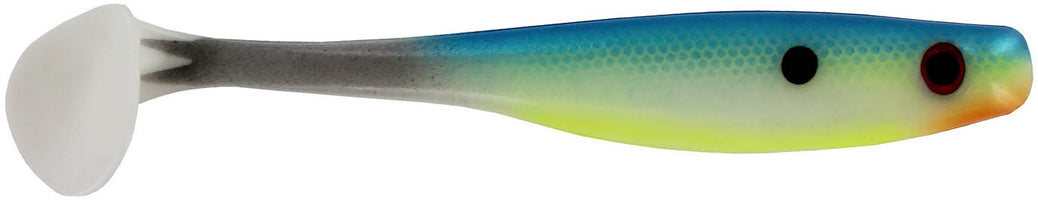 Citrus Shad