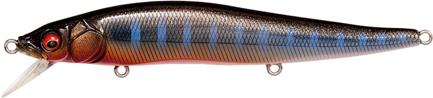 Al Black Shadow Gill