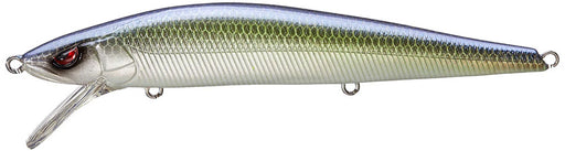 Ayu Shad