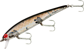 Silver Prism Black Back