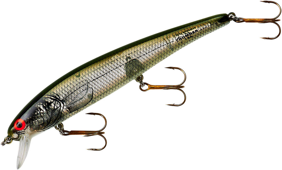 Silver Flash Green Back