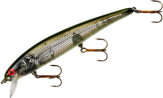 Silver Flash Green Back