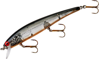 Silver Flash Orange Belly