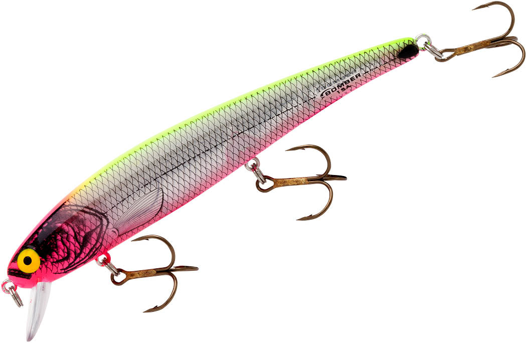 Silver Flash Pink Chartreuse