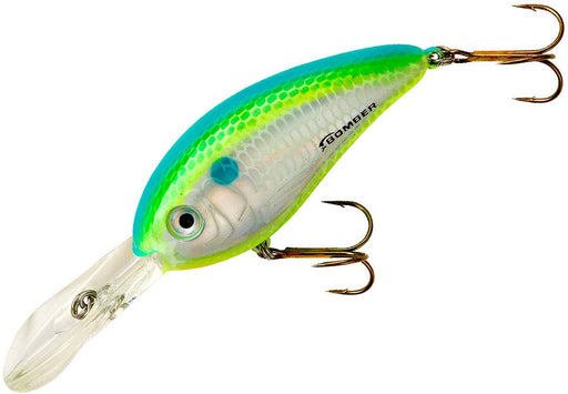 Dance's Citrus Shad