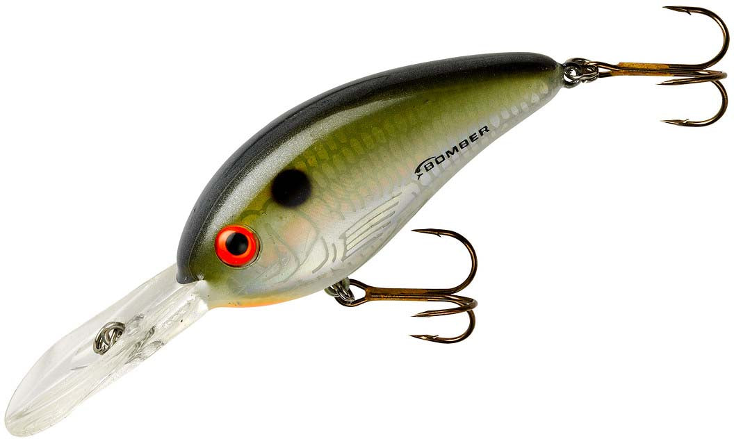 fat shad fishing lures John 60_Copper offering a fatter profile for increased visibility and more bites Bomber Fat Free Shad Jr.