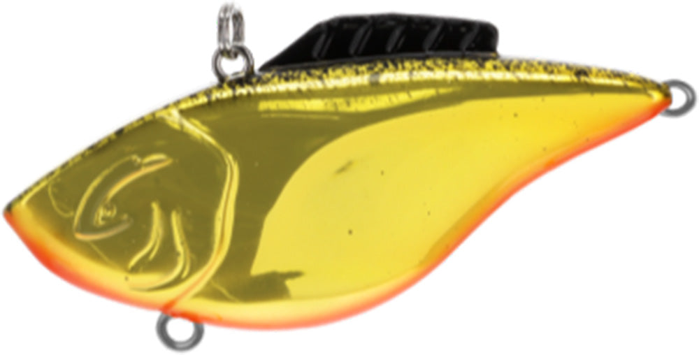 Gold Black Splatter W/Orange Belly