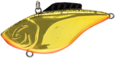 Gold Black Splatter W/Orange Belly