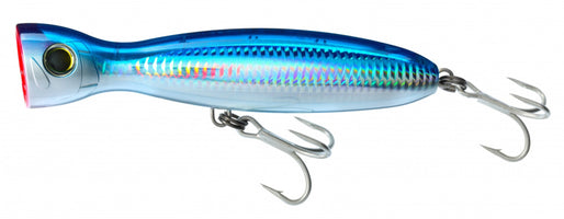 Blue Back - 5.25 inch
