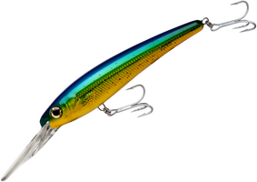 Holo Dorado - 8 inch - 4 oz - 30 feet