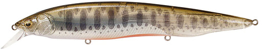 Megabass Kanata Jerkbait - Baby Trout