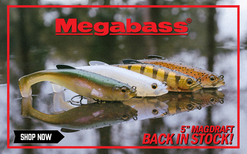Megabass 5" Magdraft is back in stock at Discount Tackle